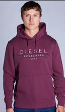 Load image into Gallery viewer, Diesel Don Hoody
