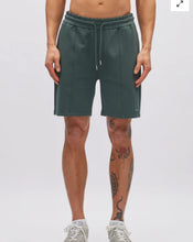 Load image into Gallery viewer, Diesel Simon Shorts
